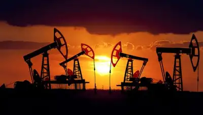 Zakon.kz, фото - Новости Zakon.kz от 30.11.2016 22:46