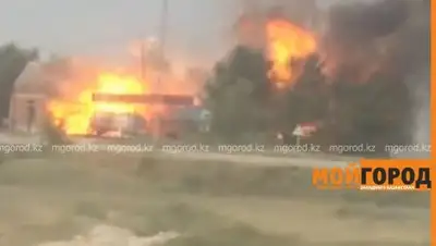 Zakon.kz, фото - Новости Zakon.kz от 12.01.2017 19:01