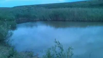 Zakon.kz, фото - Новости Zakon.kz от 10.06.2016 23:06