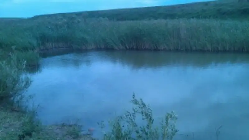 В СКО 9-летний мальчик утонул в реке