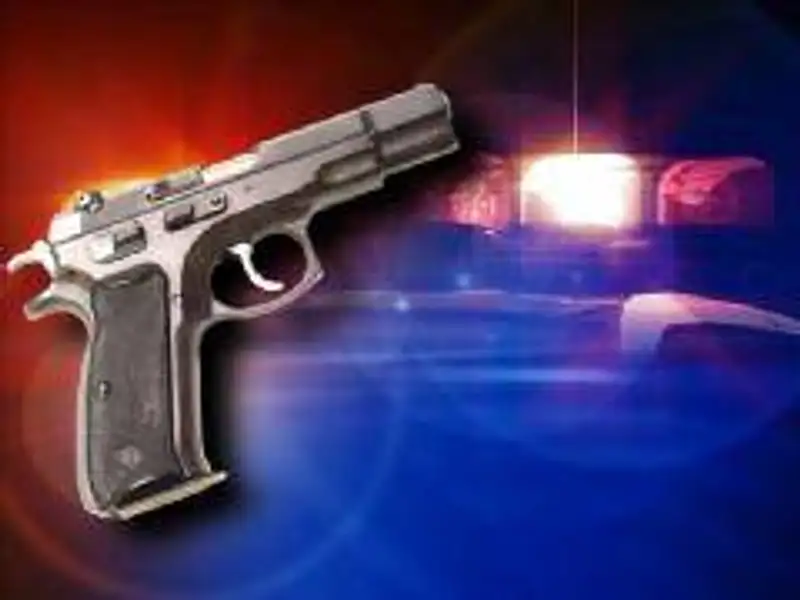 В Жезказгане раскрыто преступление по вооруженному налету на центральный рынок