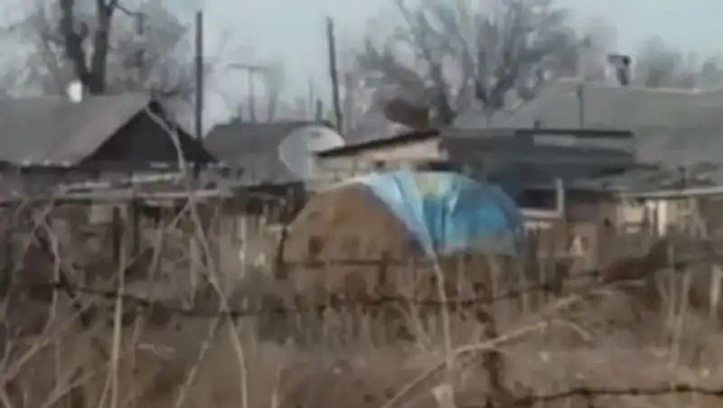 Житель ВКО накрыл сено баннером с изображением флага