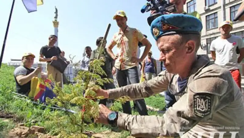 На Майдане посадили дерево в честь победы демократии