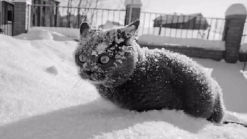 Какая погода ожидается на День Независимости РК?