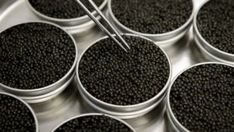 Конфискованную икру полиция перепродавала мангистаускому бизнесмену