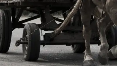 polisia.kz, фото - Новости Zakon.kz от 06.02.2020 10:35