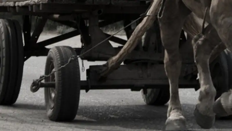 Школьник на угнанной машине устроил ДТП с телегой