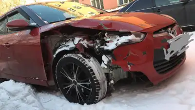 Dina Tansari, фото - Новости Zakon.kz от 20.01.2020 12:49