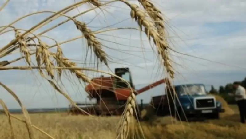 В Кызылординской области на 15,2% вырос объем производства продуктов питания