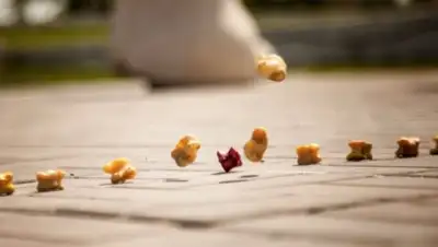 Фото: comode.kz, фото - Новости Zakon.kz от 30.11.2017 06:33