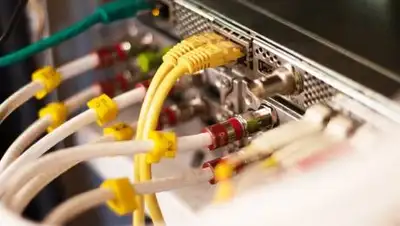 Pixabay, фото - Новости Zakon.kz от 01.03.2020 14:06