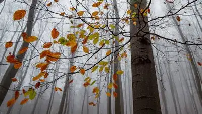 pixabay.com, фото - Новости Zakon.kz от 13.09.2021 16:03