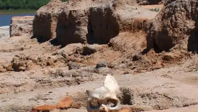 Zakon.kz, фото - Новости Zakon.kz от 03.04.2017 18:25