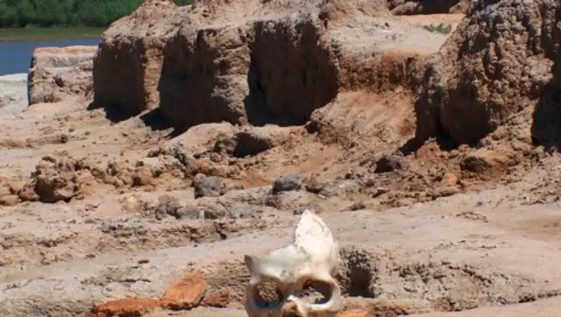 Река Урал уничтожает древнее городище Сарайшык