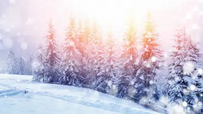 grouple.co, фото - Новости Zakon.kz от 22.01.2020 11:36