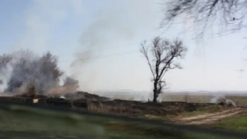 В степях Жамбылской области начались природные возгорания 