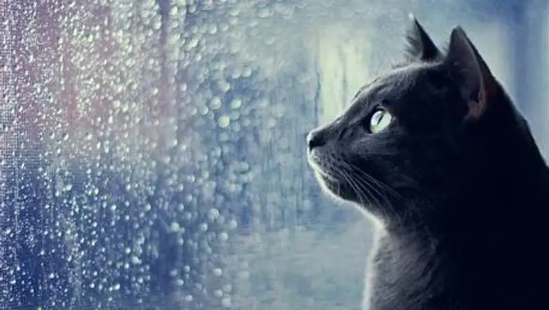 Прогноз погоды на 2 апреля в Казахстане