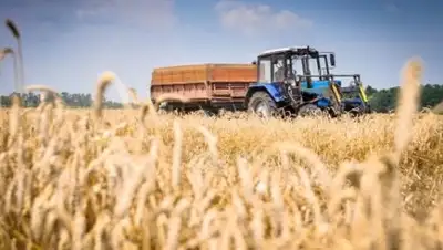 kyzylorda-news.kz, фото - Новости Zakon.kz от 20.07.2018 10:51