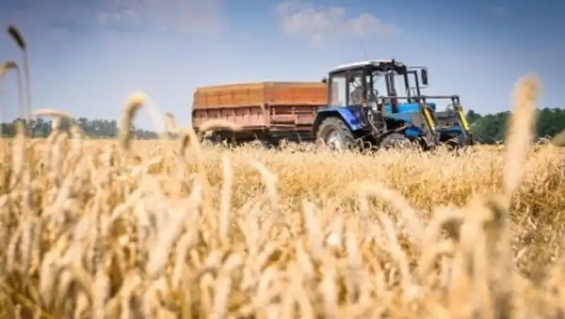 Опыт создания "Агробиржи" в Кызылординской области будет распространен по республике