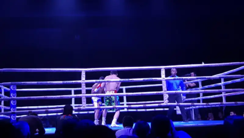 Вечер бокса пройдет в Алматы в июле: Известны все участники