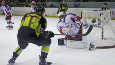 saryarka-hc.kz, фото - Новости Zakon.kz от 16.01.2020 00:51