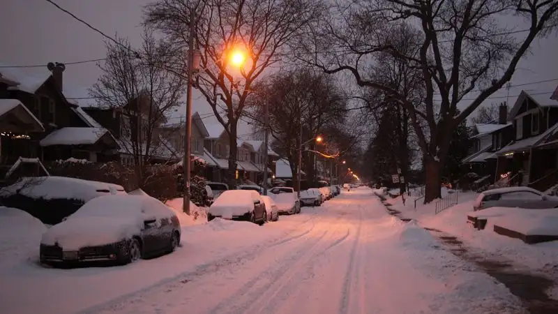 Небывалые снегопады в Канаде: около 1,2 млн домохозяйств остались без света, задерживаются авиарейсы