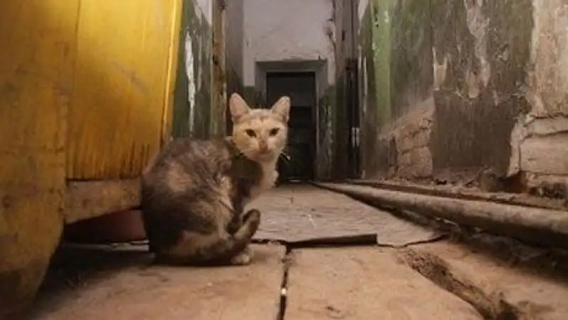 Более 200 аварийных домов будет снесено в Астане до 2017г - аким