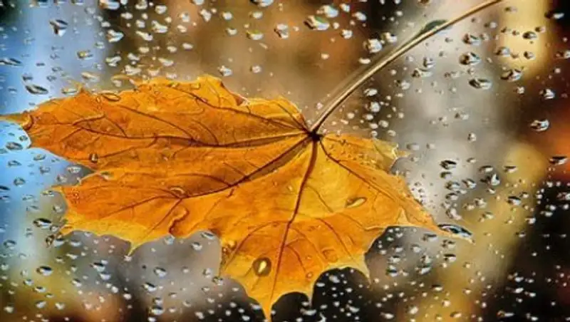 29 сентября в Казахстане пройдут дожди 