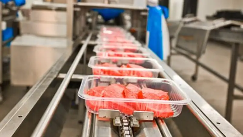 Аркалык в Костанайской области переориентируют на переработку сельхозпродукции