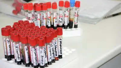 Zakon.kz, фото - Новости Zakon.kz от 27.10.2016 23:48