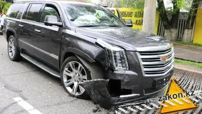 zakon.kz, фото - Новости Zakon.kz от 25.04.2018 14:20