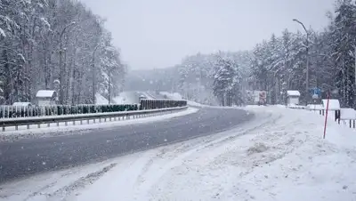 ng72.ru, фото - Новости Zakon.kz от 18.02.2019 16:58