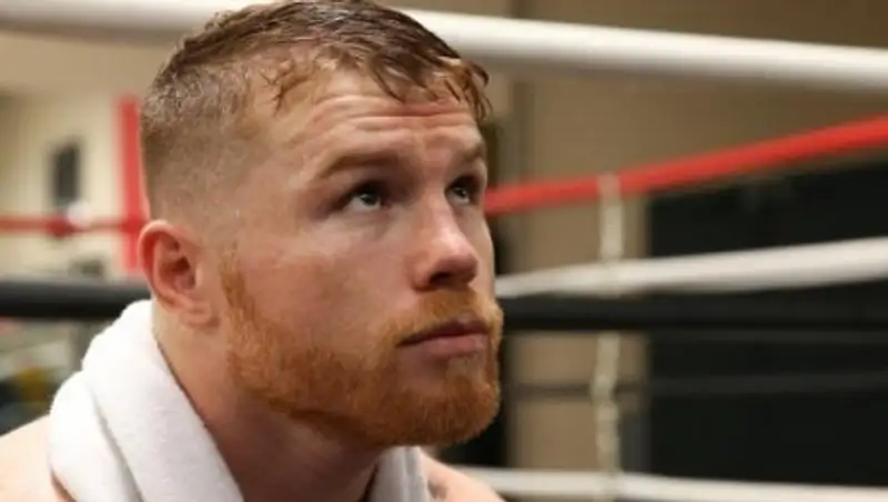 "Канело" лишили чемпионского пояса. Головкин приблизился к бою за титул