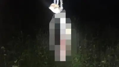 zakon.kz., фото - Новости Zakon.kz от 25.08.2020 20:06