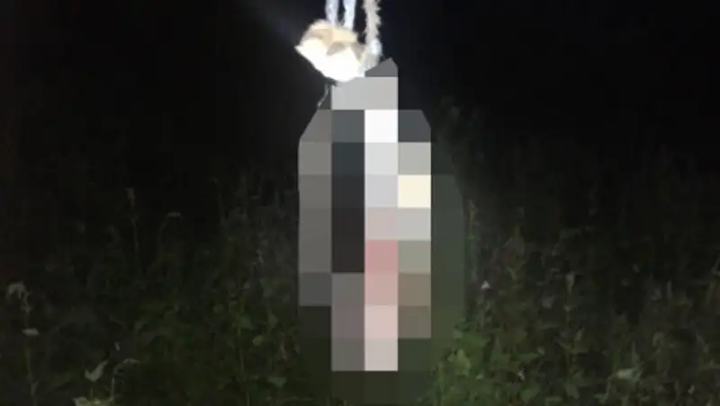 Жители села в СКО съели собаку мужчины, который должен был им денег