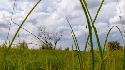 pxhere.com, фото - Новости Zakon.kz от 30.06.2021 16:31