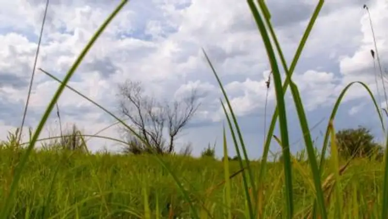 Синоптики рассказали, какой будет погода 1 июля