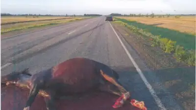 УН, фото - Новости Zakon.kz от 22.01.2020 11:19