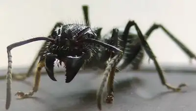 Zakon.kz, фото - Новости Zakon.kz от 22.12.2016 18:21