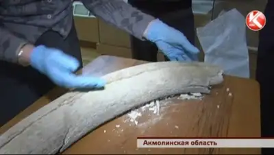 Zakon.kz, фото - Новости Zakon.kz от 17.12.2014 18:48