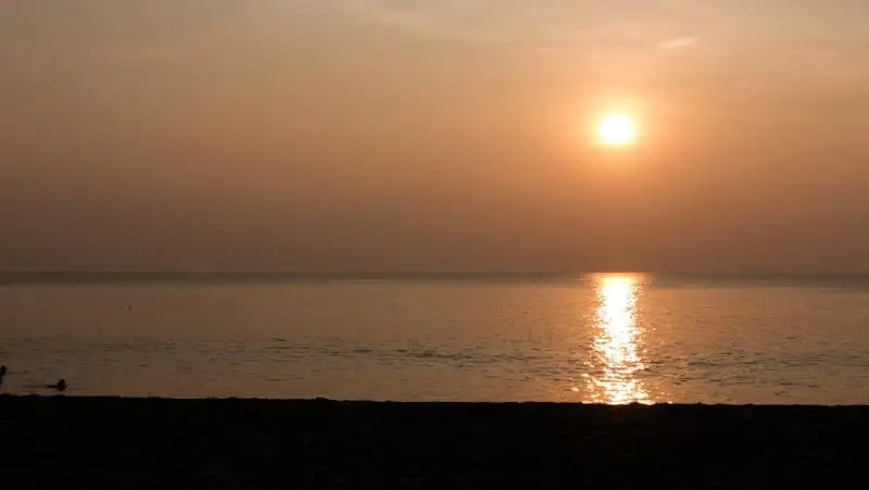 Что делать при первых симптомах солнечного удара