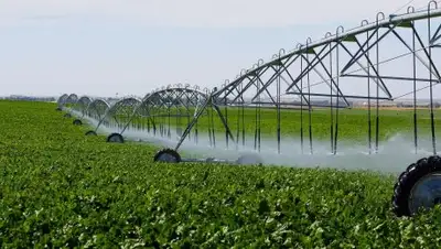 Пресс-служба акима Акмолинской области, фото - Новости Zakon.kz от 31.07.2018 14:49