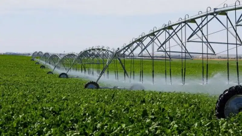 Почти в 7 раз будут увеличены площади  орошаемых земель в Акмолинской области