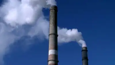 Zakon.kz, фото - Новости Zakon.kz от 05.09.2017 22:12