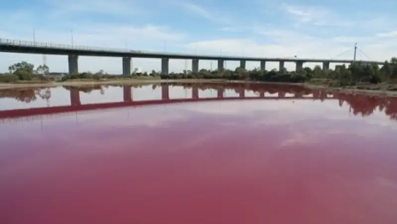 Соленое озеро в Австралии стало розовым из-за погоды