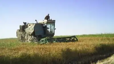 Zakon.kz, фото - Новости Zakon.kz от 13.10.2015 17:19