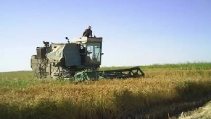 В Кызылординской области завершились уборочные работы