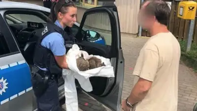 yaplakal.com, фото - Новости Zakon.kz от 19.06.2018 19:42