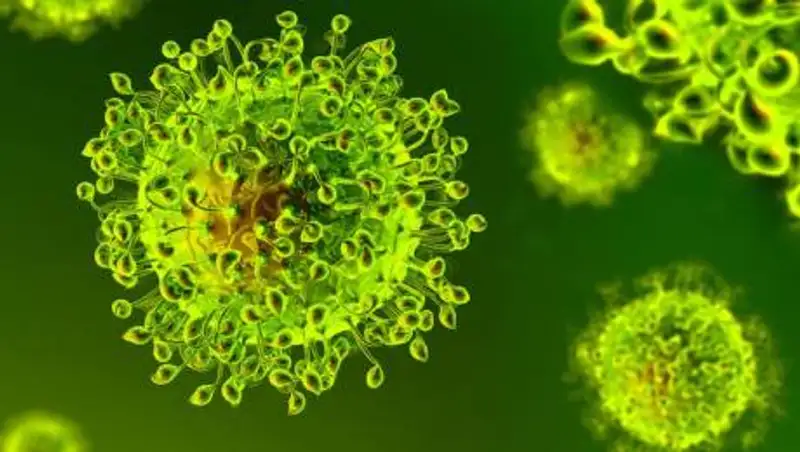 Сразу пять разновидностей коронавируса выявили на Кубе