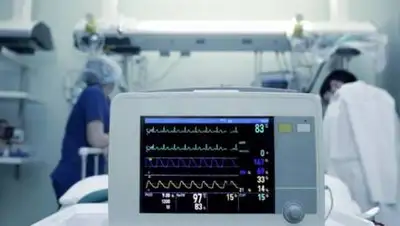 Getty Images, фото - Новости Zakon.kz от 08.11.2020 23:39